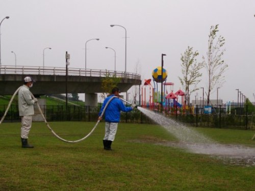 芝生の洗浄作業