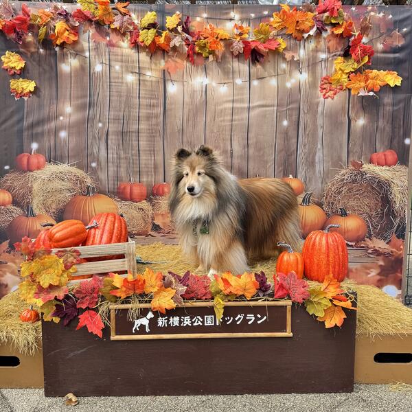 2025年10月フォトスポット