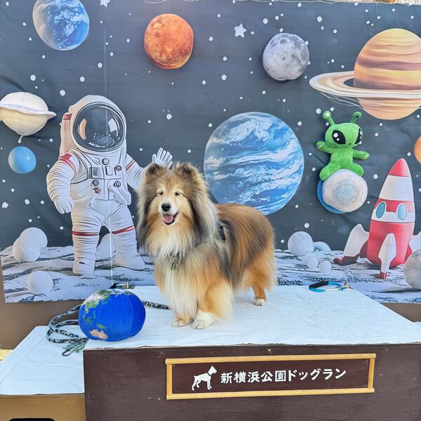 2025年6月フォトスポット