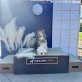 フォトスポットが新しくなりました（9月）