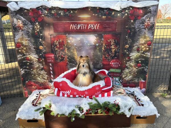 2025年12月フォトスポット