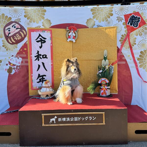 2026年1月フォトスポット