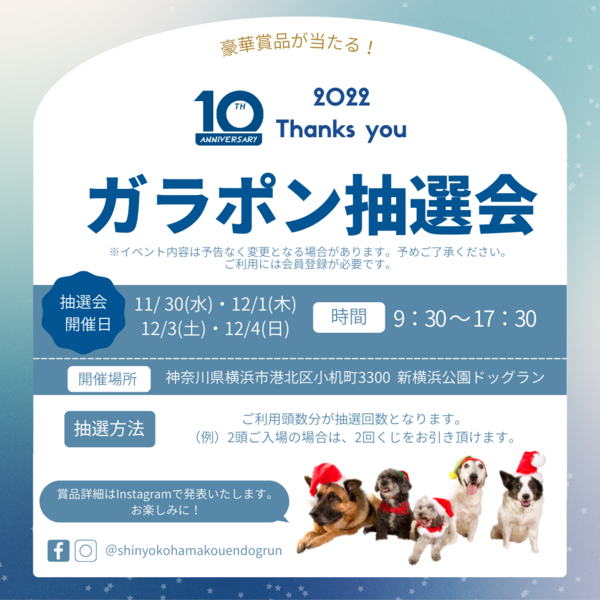 １０周年ガラポン