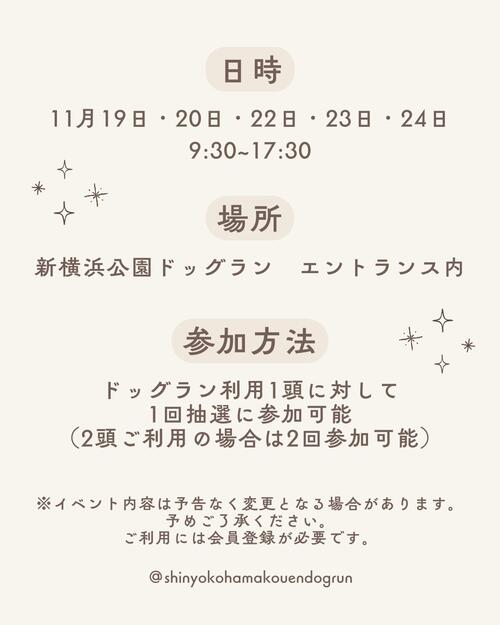 2025年ガラポン②