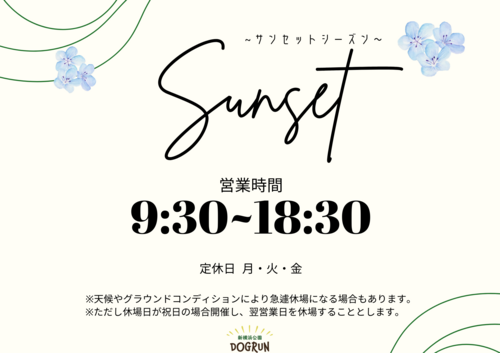 サンセットシーズン