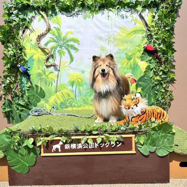 2025年5月フォトスポット