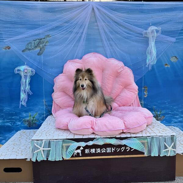 2025年7月フォトスポット