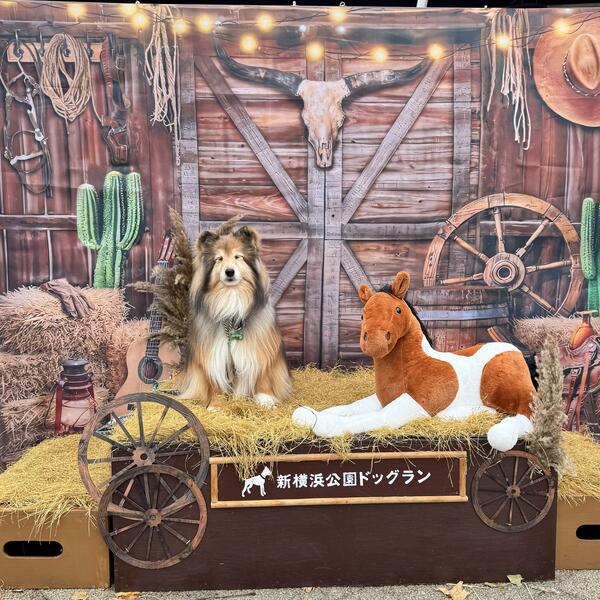 2025年11月フォトスポット