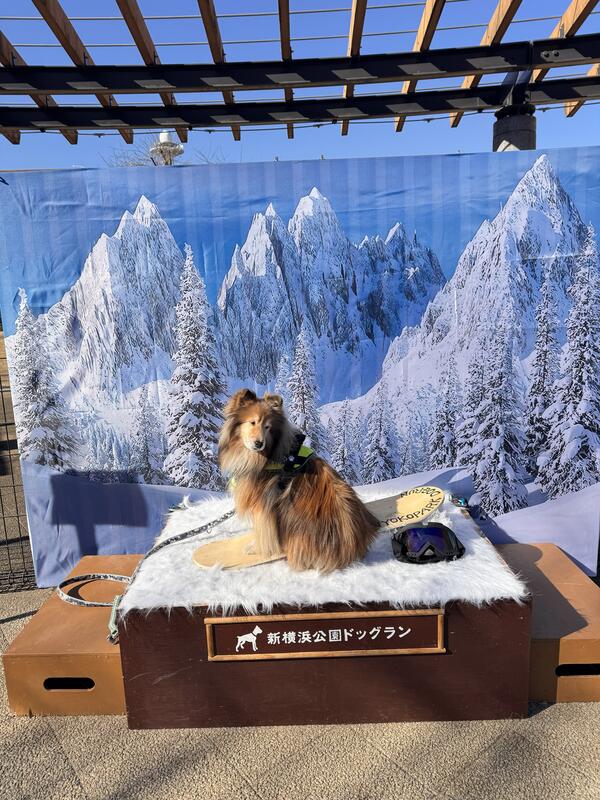 2026年2月フォトスポット