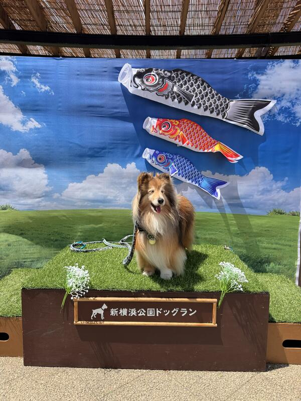 2026年5月フォトスポット
