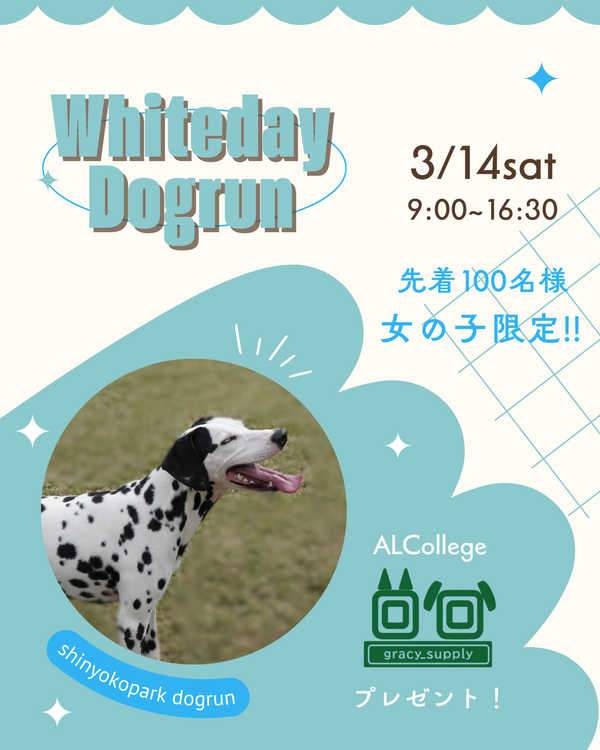 2026年ホワイトデー