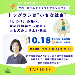 2026年10月セミナー