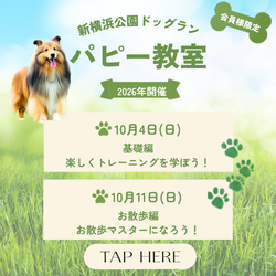 2026年パピー