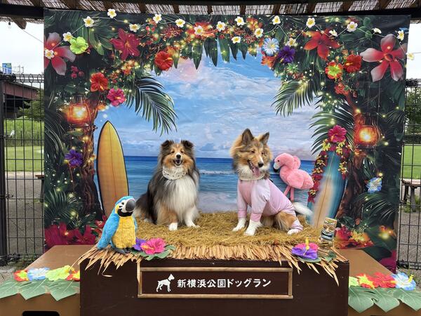2026年7月フォト